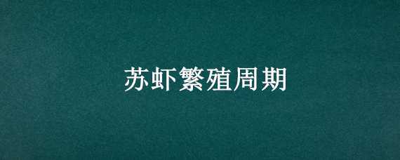 苏虾繁殖周期 苏虾生长周期