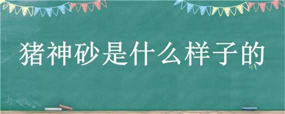 猪神砂是什么样子的 猪神砂是什么样子的图片