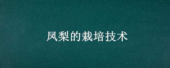 凤梨的栽培技术 凤梨的栽培技术视频