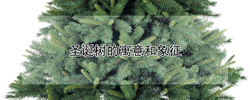 圣诞树的寓意和象征 圣诞树的寓意和象征用英语说