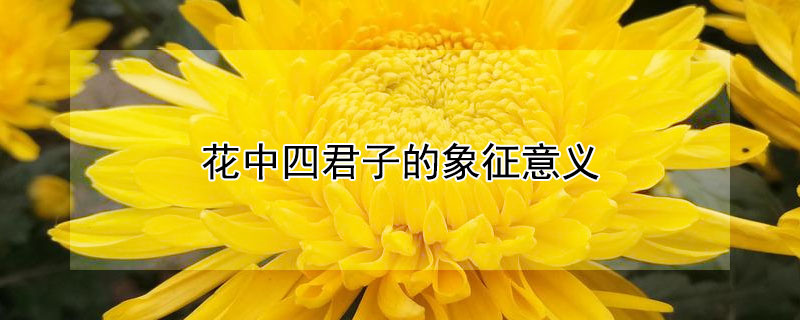 花中四君子的象征意义