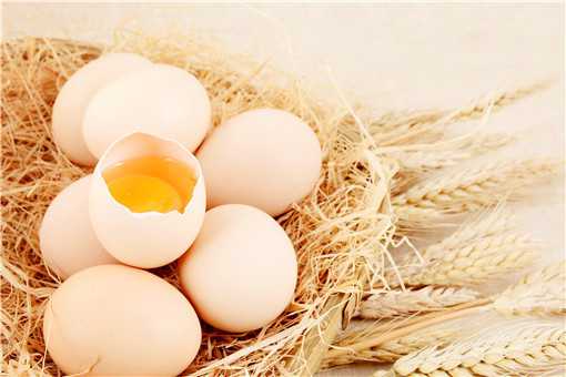 初生蛋和普通蛋的区别是什么