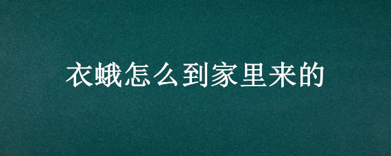 衣蛾怎么到家里来的 家有衣蛾怎么办