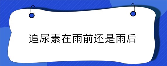 追尿素在雨前还是雨后 尿素下雨前施肥好吗