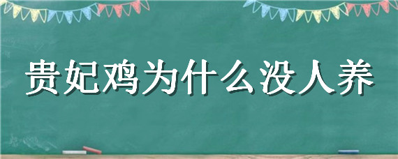 贵妃鸡为什么没人养（养贵妃鸡注意什么）