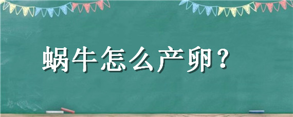 蜗牛怎么产卵 蜗牛产卵的过程视频