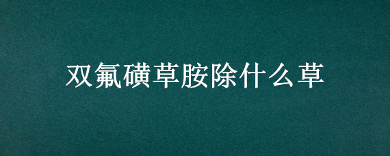 双氟磺草胺除什么草（吡氟酰草胺可防除啥草）
