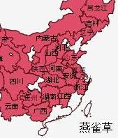 地榆（地榆炭）