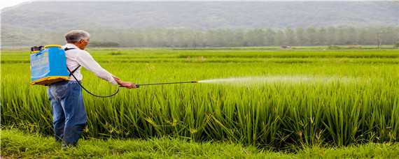 预防农药污染的主要措施 预防农药污染的主要措施有
