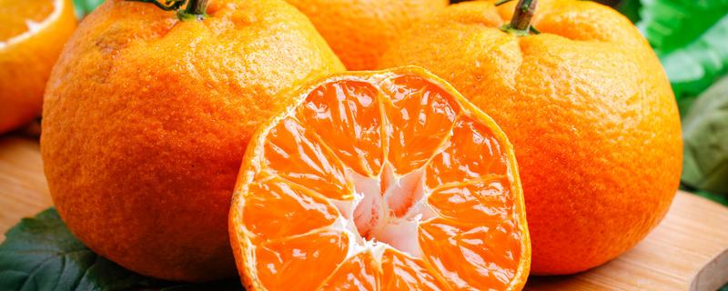 柑橘果实的生长发育适宜温度是多少（柑橘生长发育要求的温度是多少）