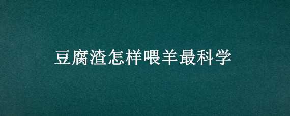 豆腐渣怎样喂羊最科学（豆腐渣怎样喂羊最科学的方法）