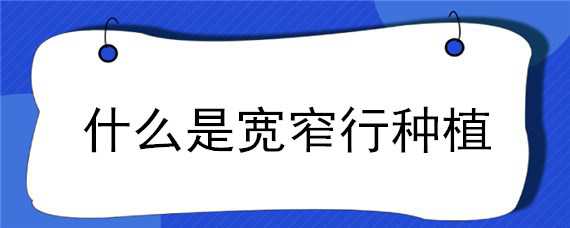 什么是宽窄行种植 什么是宽窄行种植技术