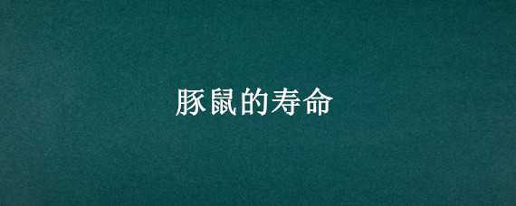 豚鼠的寿命