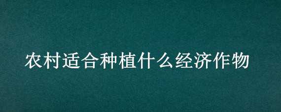 农村适合种植什么经济作物