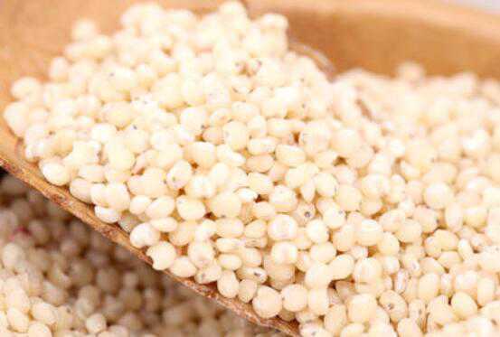 高粱米的功效与作用，高粱米怎么吃（高粱米怎么吃? 高粱米的功效与作用）