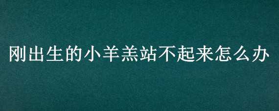 刚出生的小羊羔站不起来怎么办（刚出生的小羊羔站不起来怎么办视频）