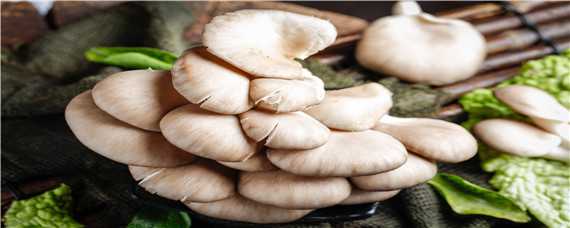 种植平菇技术 木头种植平菇技术