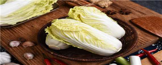 白菜最低生长温度是多少 大白菜生长的最低温度是多少?