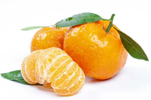 种橘子一年赚多少钱 种橘子一年赚多少钱啊