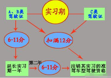 2019驾照实习期扣分罚款规定