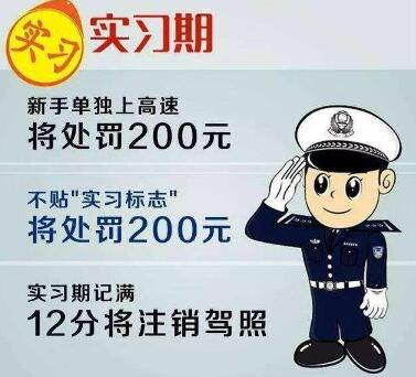 实习期上高速怎么处罚?扣分吗