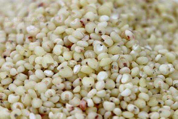 秫米与高粱米的区别，吃秫米的好处（秫米是高粱吗）