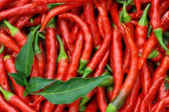 辣椒的营养价值及功效 黄色辣椒的营养价值及功效