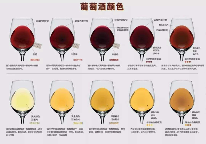 白葡萄酒和红葡萄酒的区别（白葡萄酒和红葡萄酒的区别 除了防氧以外的不同之处）