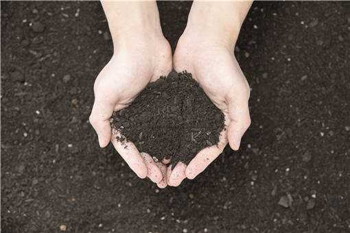 复合肥是什么肥料 有机复合肥是什么肥料