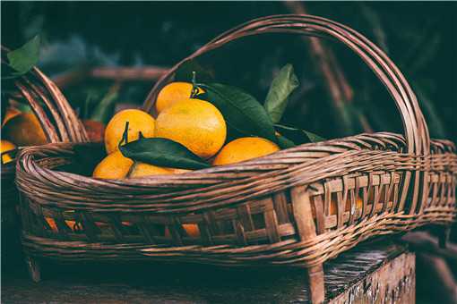 柑桔种植技术有哪些 柑橘的种植技术