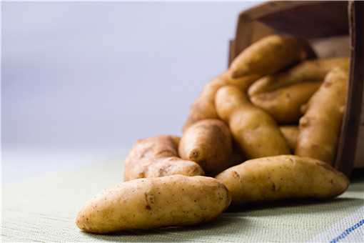 发芽的马铃薯含有什么毒素 发芽的马铃薯含有什么毒素主要为
