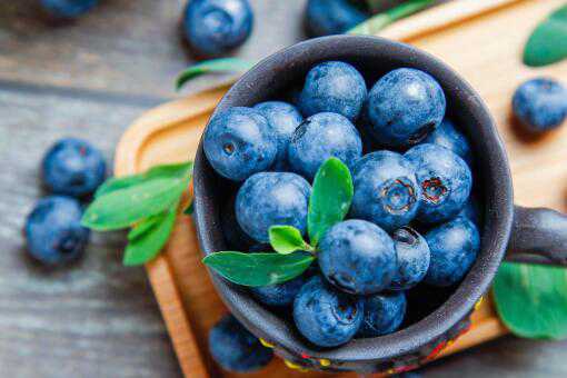 一亩地能收多少斤蓝莓 10亩地能收多少蓝莓