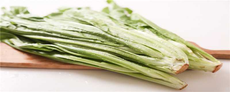 油麦菜的功效