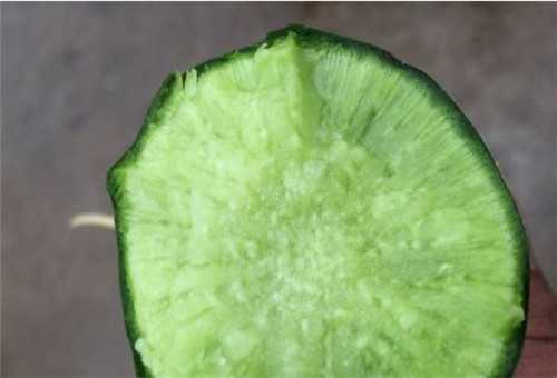 青萝卜的作用