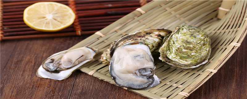 生蚝怎么繁殖 三倍体生蚝怎么繁殖