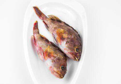 海水石斑鱼价格是多少钱一斤 海里石斑鱼多少钱一斤