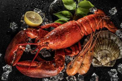 红龙虾多少钱一斤 红龙虾多少钱一斤2021