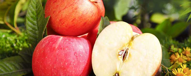 苹果褐斑病特效药有哪些（治疗苹果褐斑病的特效药）