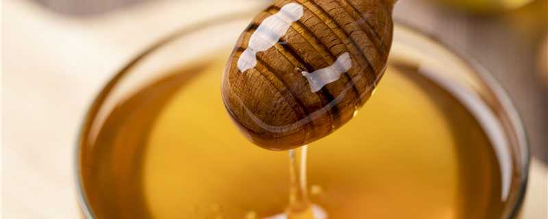 蜂蜜的品种有哪些 蜂蜜的品种有哪些以及功能
