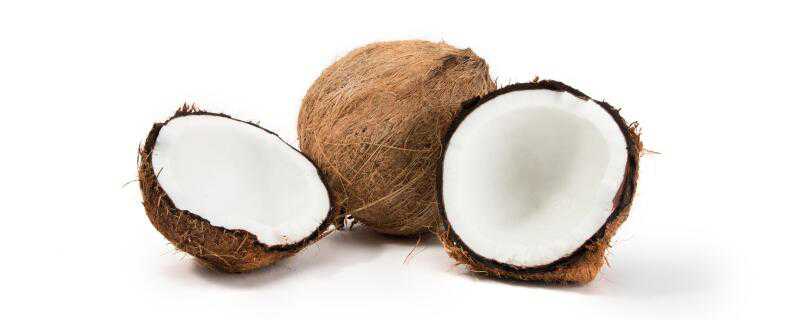 椰子是什么季节的水果 椰子是什么季节的水果蔬菜
