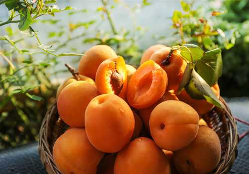 黄桃有什么功效与作用 黄桃的作用与功效与作用
