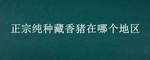 正宗纯种藏香猪在哪个地区