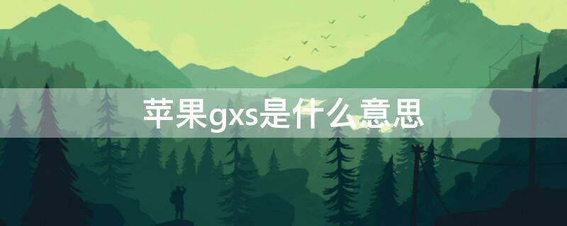 iPhonegxs是什么意思