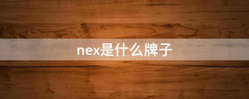 nex是什么牌子