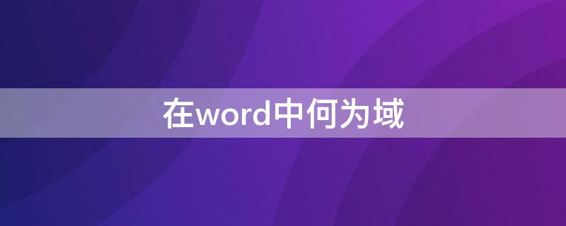 在word中何为域