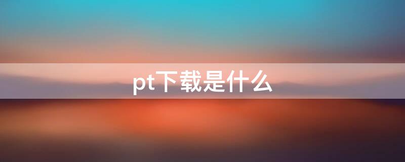 pt下载是什么