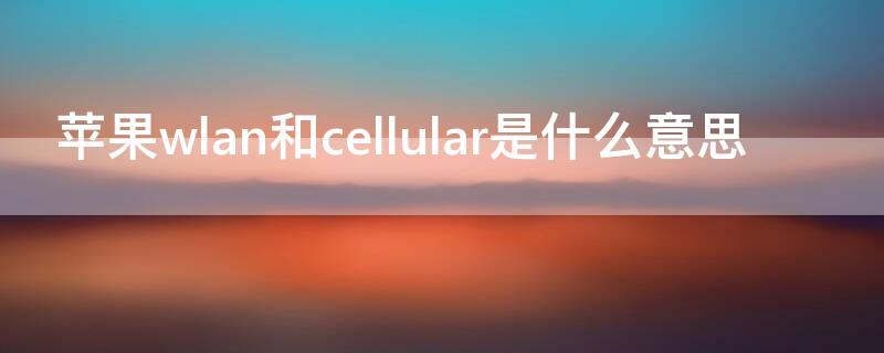 iPhonewlan和cellular是什么意思 苹果网络cellular是什么意思