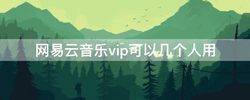 网易云音乐vip可以几个人用（网易云音乐vip能几个人用）