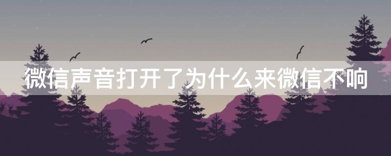 微信声音打开了为什么来微信不响（微信声音打开了为什么来微信不响苹果）