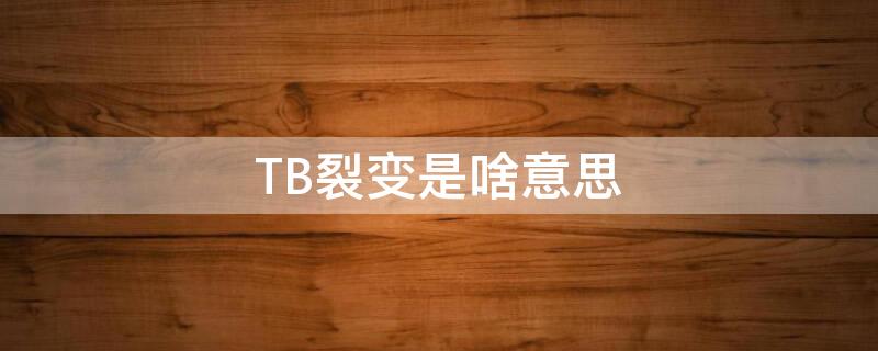 TB裂变是啥意思 TB之后是什么